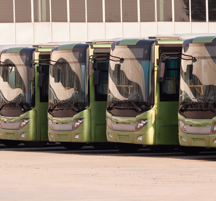 Fleet of buses