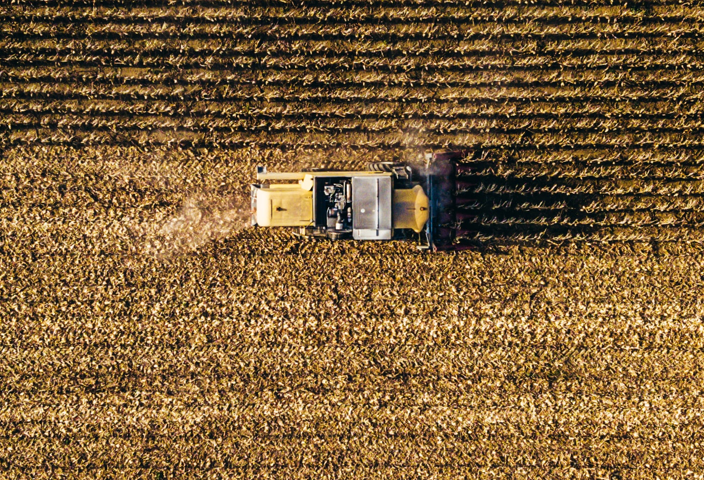 Truck in a farm