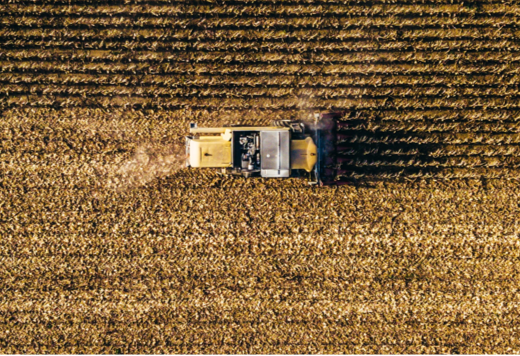 Truck in a farm