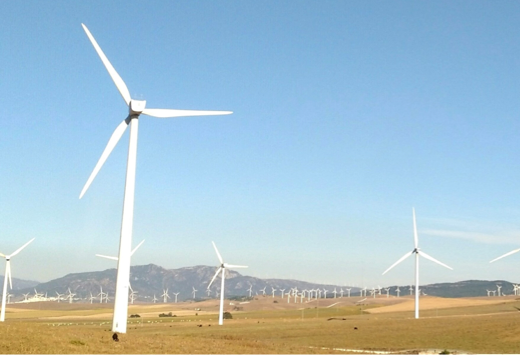 Windmills located in an open area